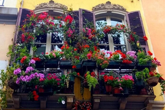 Balcone fiorito a Villanova