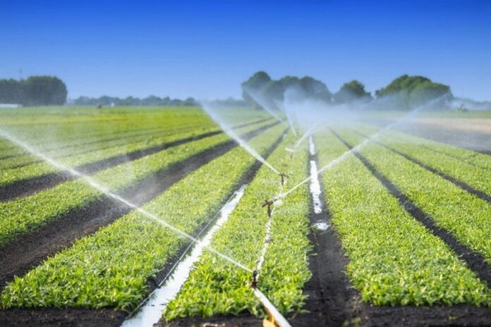 emergenza acqua agricoltori calabria