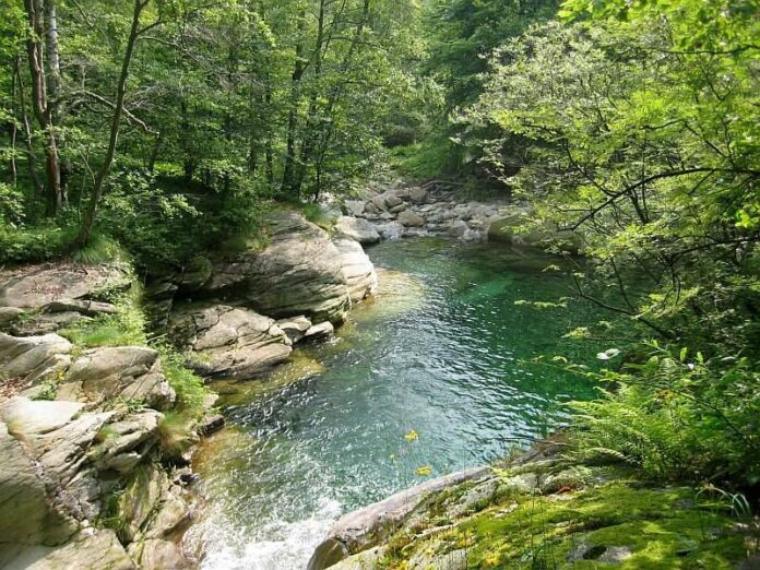 torrente