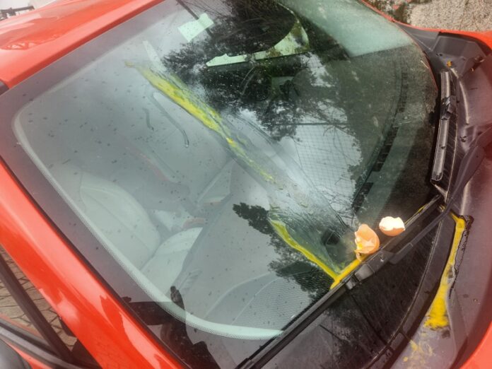 auto truffa uovo