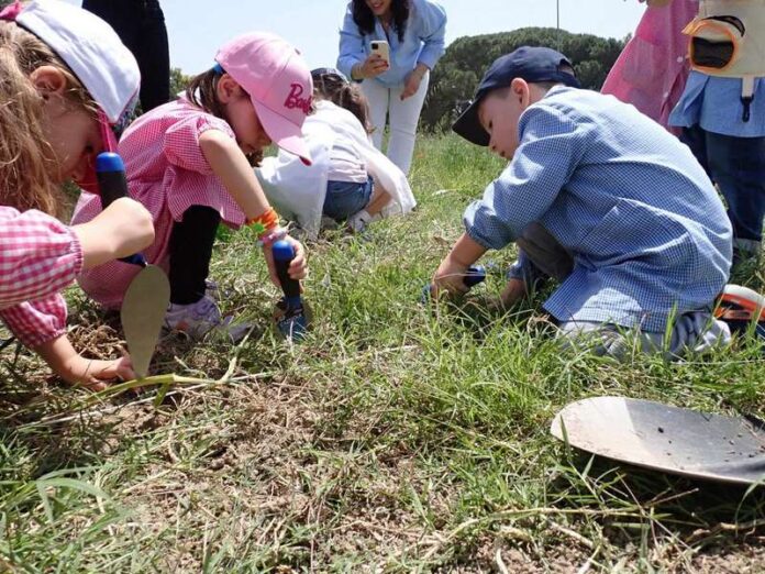 MAGNOLIA-SIBARI (10)