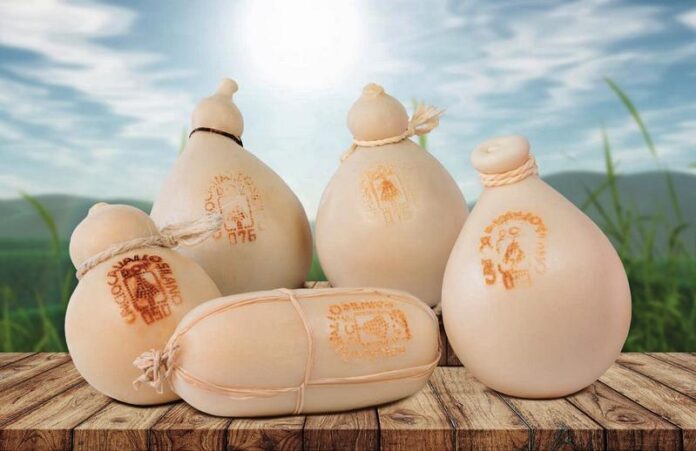 caciocavallo silano dop cibus 2024