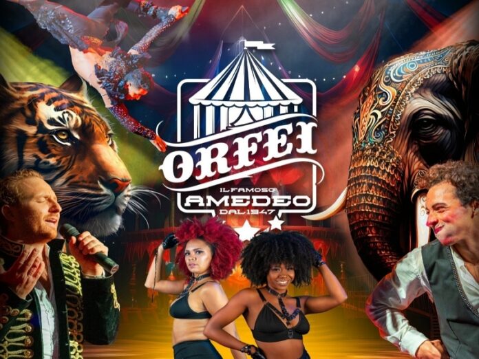 isola capo rizzuto circo