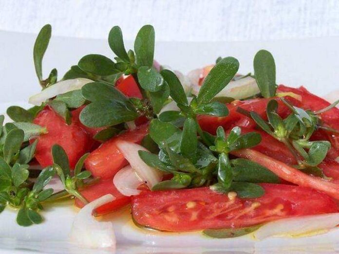 insalata pomodori portulaca