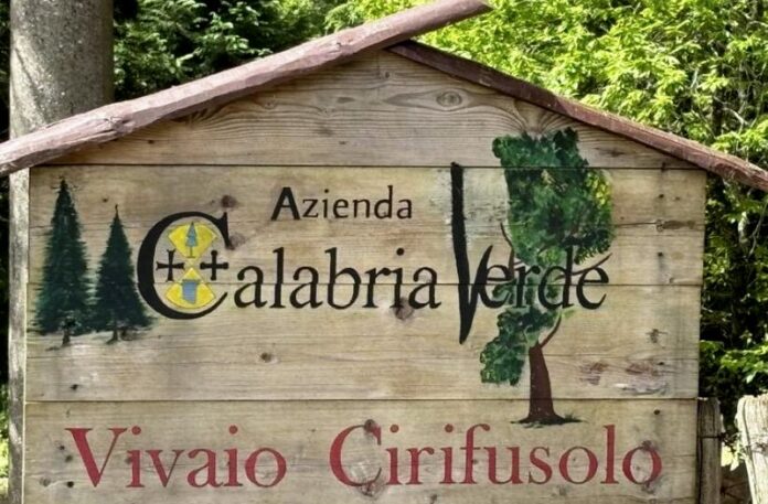 vivaio cirifusolo