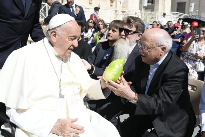 cedro calabria Papa