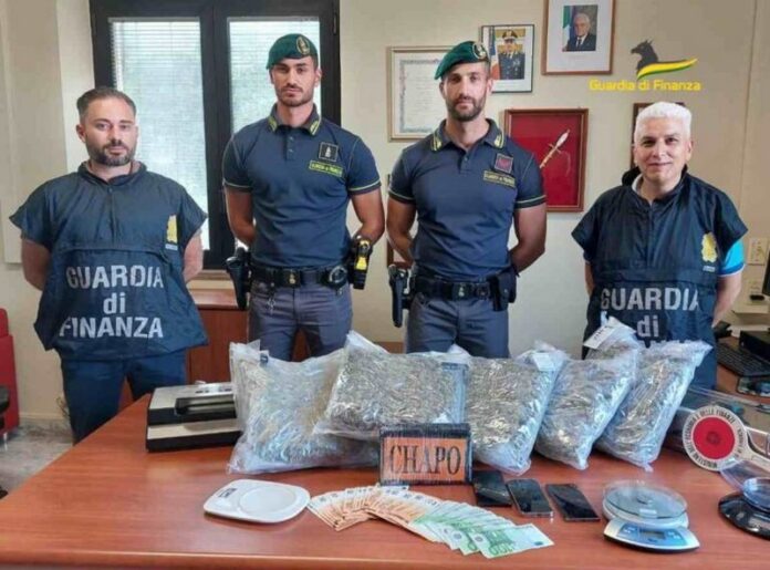 Gdf sequestro droga Vibo