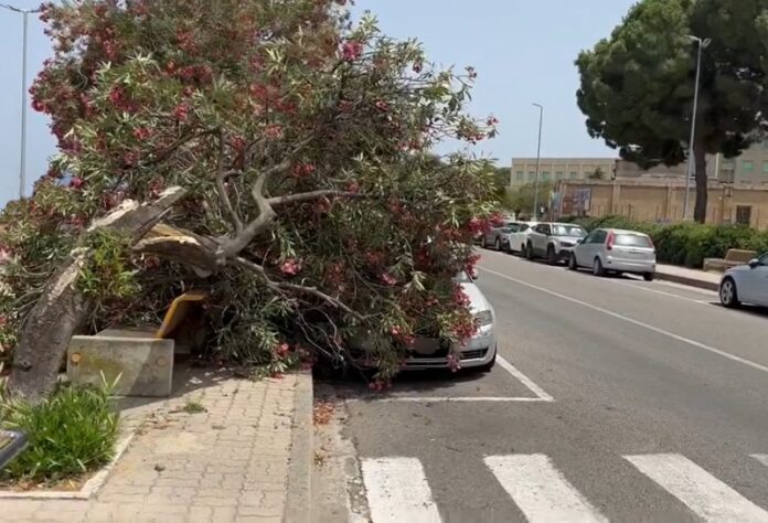 forte vento Soverato CZ