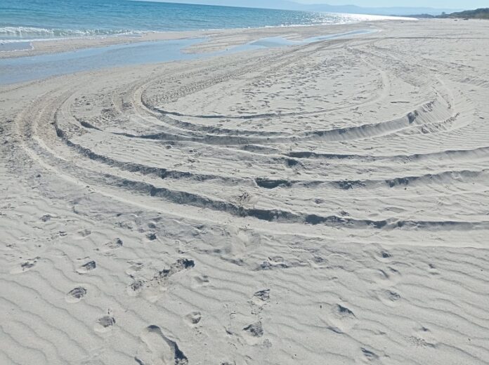 gare di auto spiagge