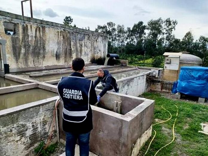 guardia costiera scarichi irregolari