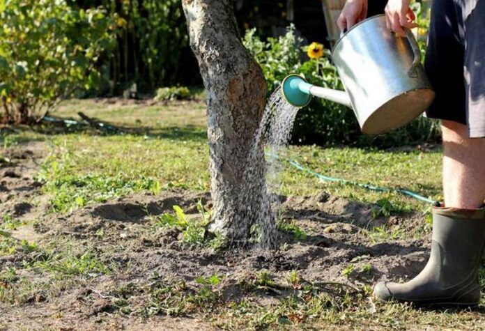 irrigazione giardino acqua