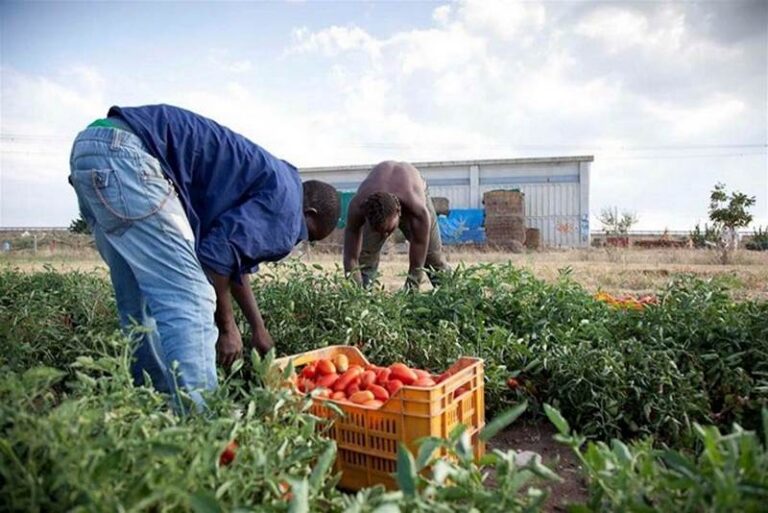 lavoratori stagionali immigrati