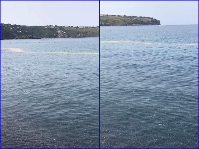 mare sporco