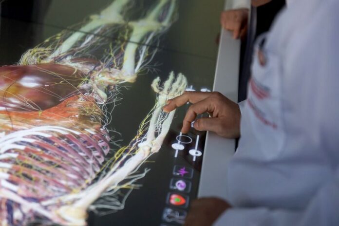 ricercatore medico unical