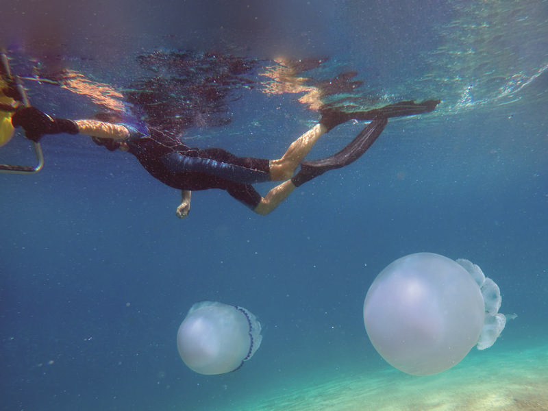 Parco Marino Regionale Baia di Soverato - Regione Calabria