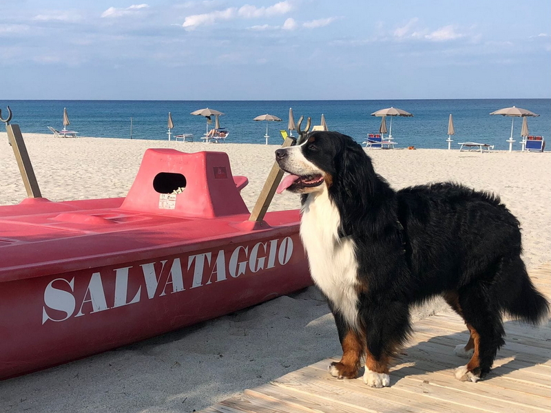Spiagge pet friendly - Isabella Badolato