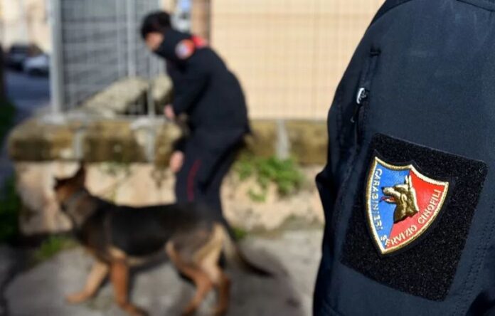 carabinieri cani droga