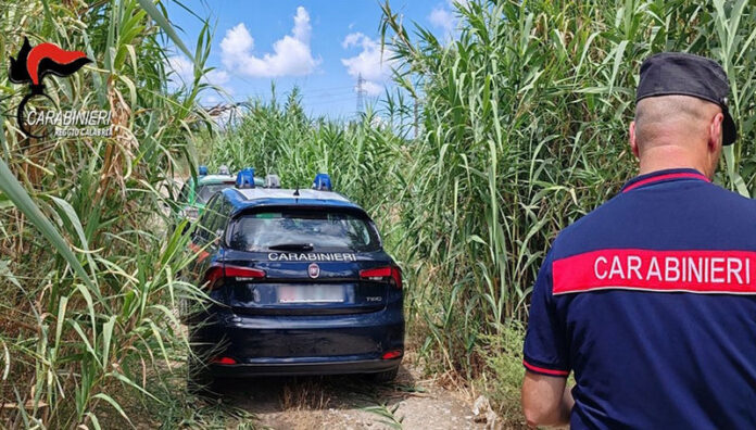 carabinieri discariche reggio