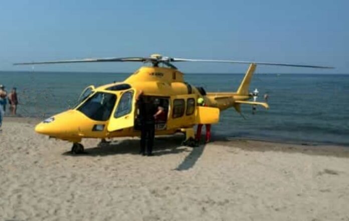 muore punto da insetto