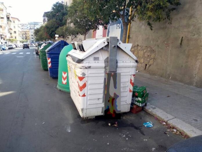 gatto bruciato crotone