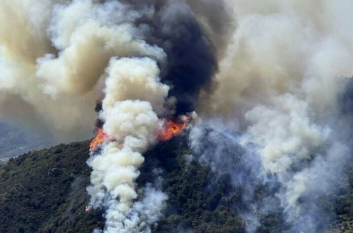 incendio scala coeli