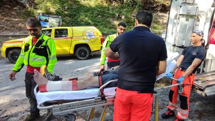 infortunato pollino soccorso