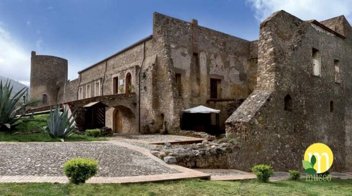 museo del cedro santa maria del cedro