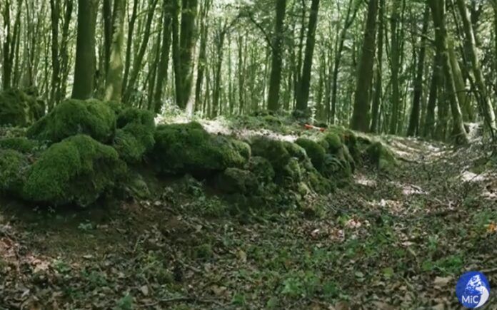 ritrovamento mura romane Aspromonte Calabria