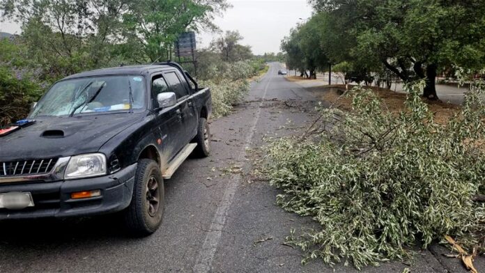 tromba aria ulivo suv
