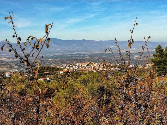 vaccarizzo albanese_foto fai