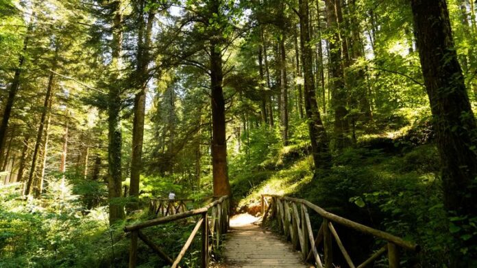 Sentiero Frassati - Regione Calabria