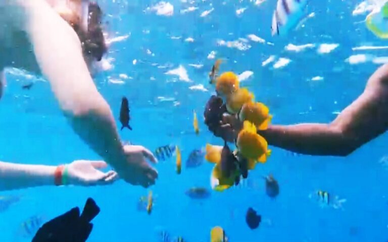 Calabria: mare incantevole, paesaggi mozzafiato e strutture ricettive da favola