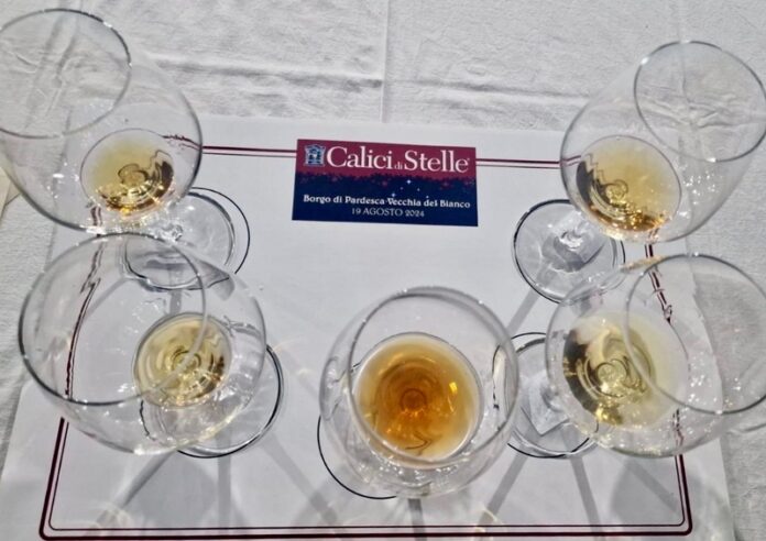 calici di stella bianco