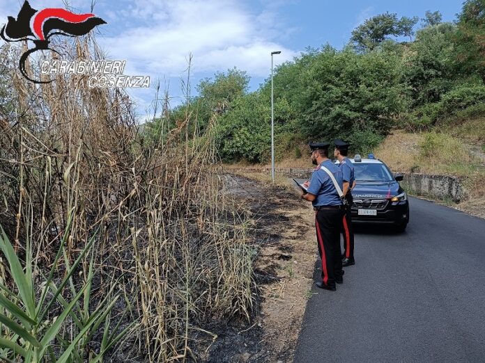 arresto piromane cosenza