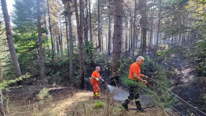incendio spento longobucco