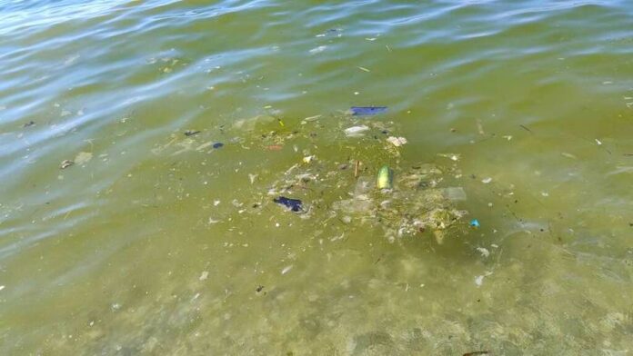 mare sporco bivona