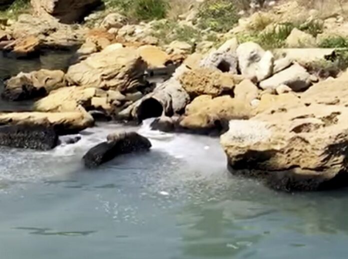 scarico mare isola capo rizzuto