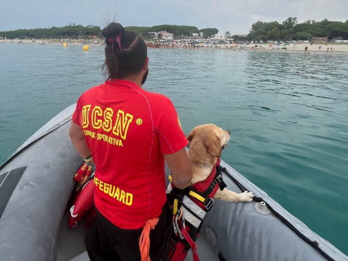 soccorso ucsn_cane bagnino