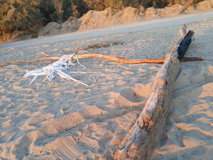 vandali installazioni artistiche sibari