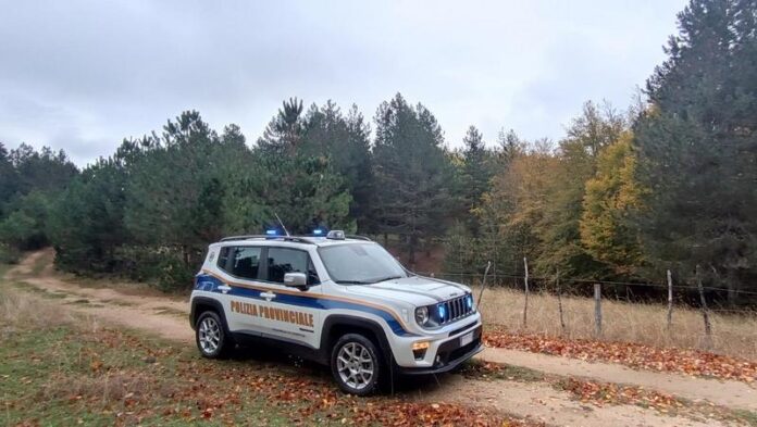 Polizia Provinciale Sila
