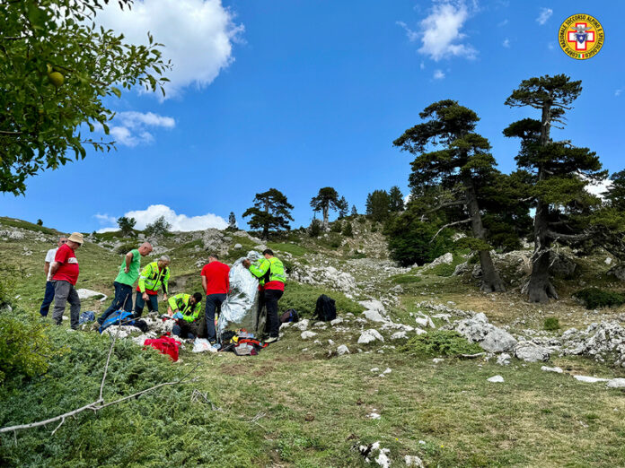 ferito gamba pollino