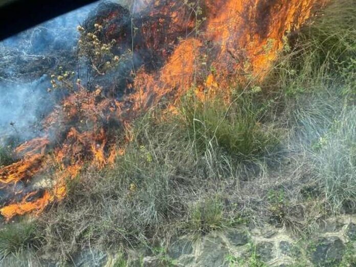 incendio sterpaglie_2