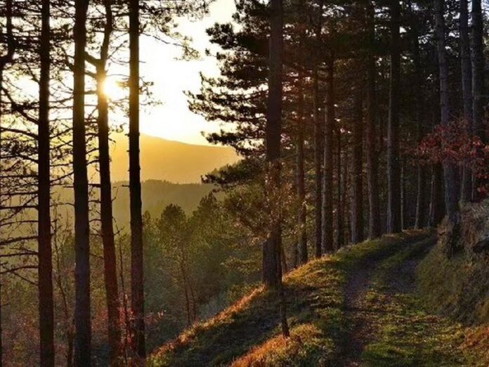 sentieri soveria mannelli