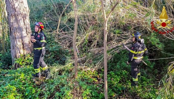 vigili del fuoco boscaglia