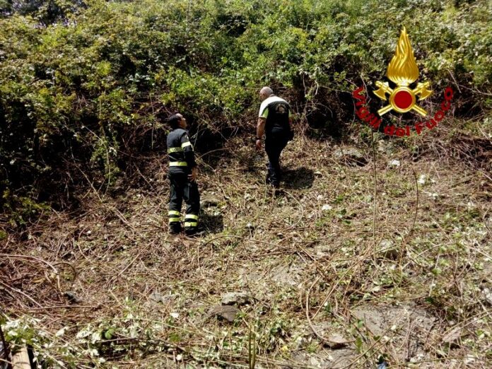 vigili del fuoco_disperso sila