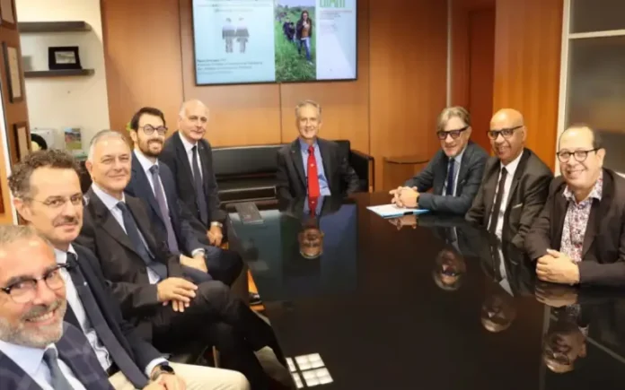 Unical ricerca francia