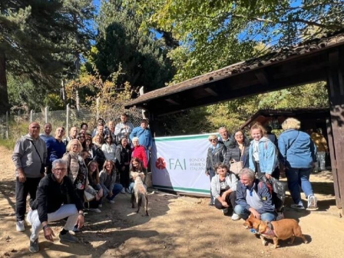 visita sordi giganti della sila