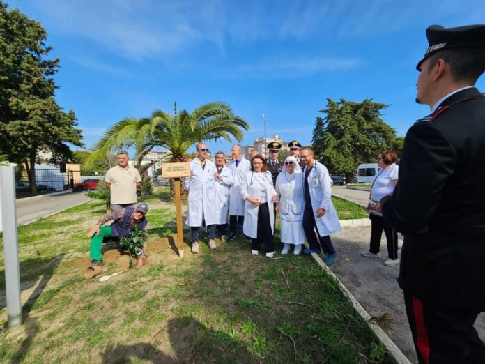 Un albero per la salute 2