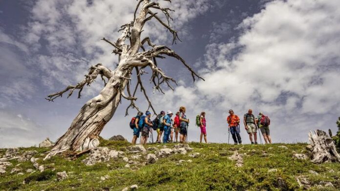 cammina natura escursioni