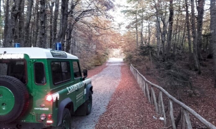 carabinieri forestali aspromonte